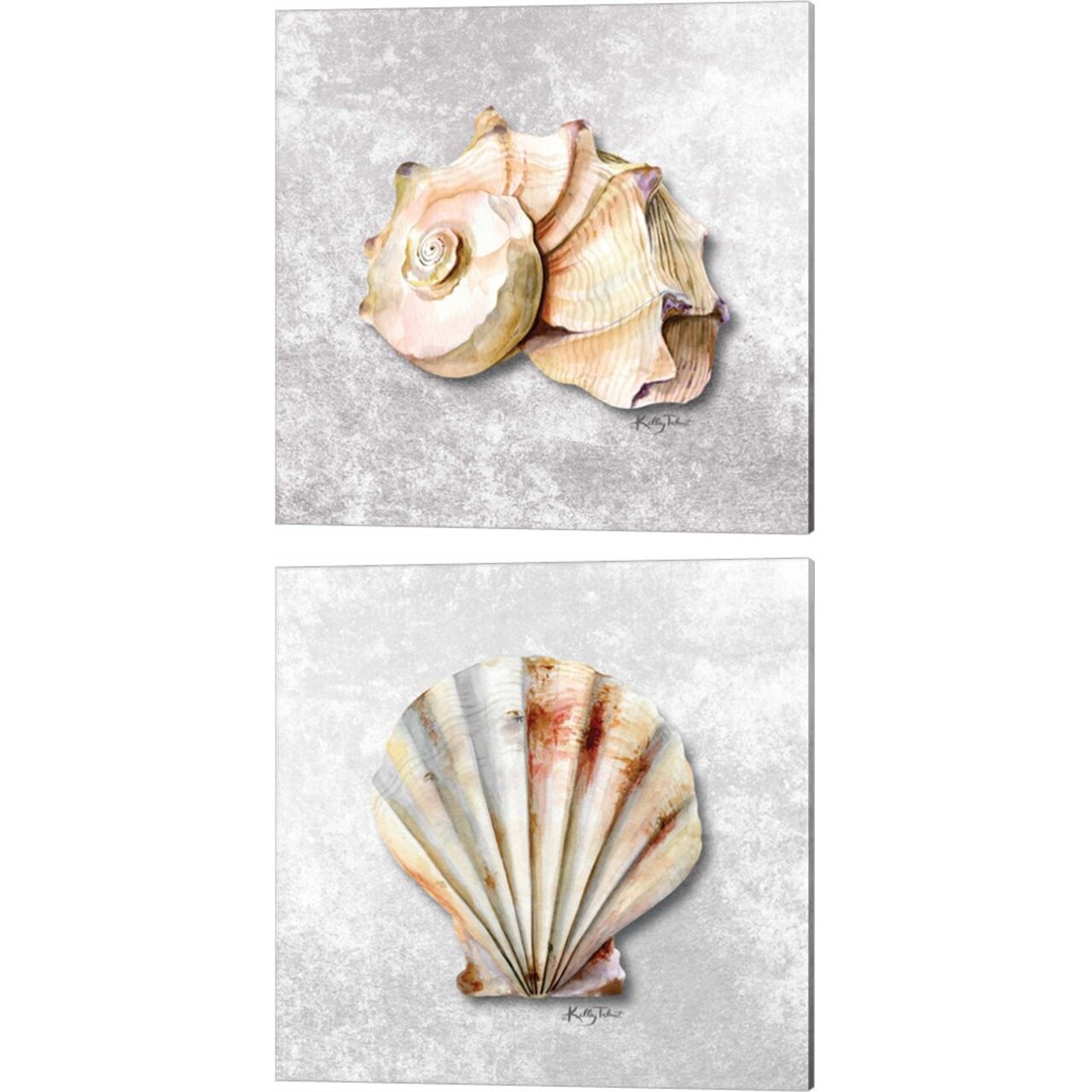 Shell Collector by Kelley Talent 14" x 14" Canvas Wall Art (Set of 2)